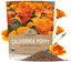California Orange Poppy Wildflower Seeds - Bulk 1 Ounce Packet - over 20,000 Native Seeds - California State Flower!