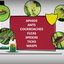 Compare-N-Save Concentrate Indoor and Outdoor Insect Control, 32-Ounce