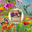 Wildflower Seeds Butterfly and Humming Bird Mix - Large 1 Ounce Packet 7,500+ Seeds - 23 Open Pollinated Annual and Perennial Species