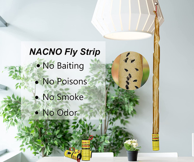 24 Rolls Fly Strips Fly Paper - Fly Tapes,Fly Trap Indoor/Outdoor Hanging,Gnat Fruit Fly Trap Fly Catcher Fly Killer , Sticky Fly Ribbon Bait for Plants/Home/Kitchen/Farm/Horse Stable