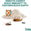 Safer 51703 Diatomaceous Earth-Bed Bug Flea, Ant, Crawling Insect Killer 4 lb