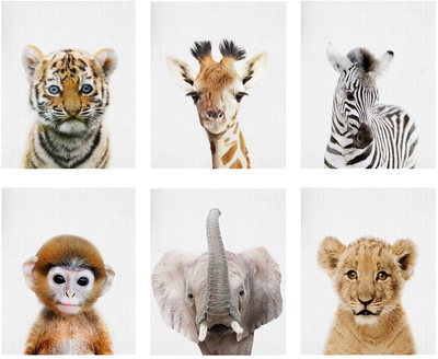 Baby Animal Posters and Prints - EPHANY ART YMX016 - Baby Nursery Decor Pictures Set of 6 (Unframed) Cute Animal Photography Wall Prints for Baby Boys & Girls Room YMX016 (8"x10"(20x25cm))
