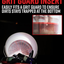 Adam's Wash Bucket (5 Gallon Bucket + Grit Guard) - Car Detailing Tool for Car Washing & Garage Storage | Stores Car Wash Soap, Foam Cannon, Foam Gun, Microfiber Towels & More
