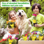 24 Pack Yellow Sticky Traps and Fungus Gnat Traps Killer for Indoor Outdoor, Fruit Fly Traps Protect The Plants