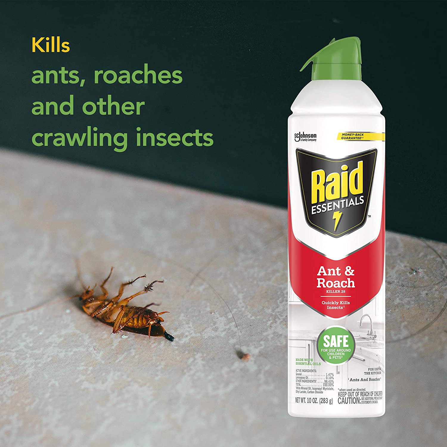 Raid Essentials Ant & Roach Killer, Child & Pet Safe, for Indoor Use, 10 Ounce