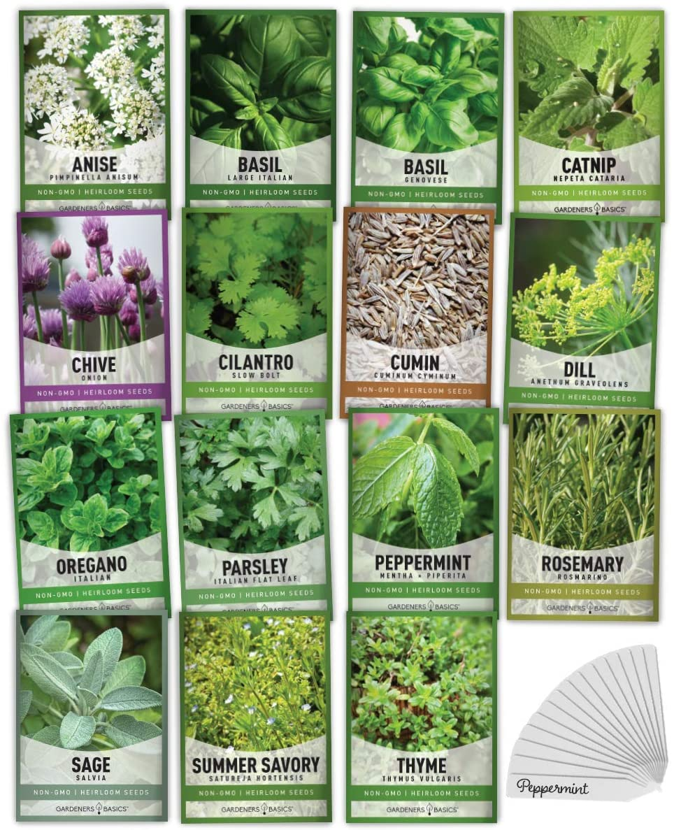 15 Herb Seeds for Planting Varieties Heirloom Non-Gmo 5200+ Seeds Indoors, Hydroponics, Outdoors - Basil, Catnip, Chive, Cilantro, Oregano, Parsley, Peppermint, Rosemary and More