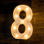 Foaky Decorative Led Light Up Number, Light Up Number Sign for Night Light Wedding Birthday Party Christmas Home Bar Decoration Number(8)