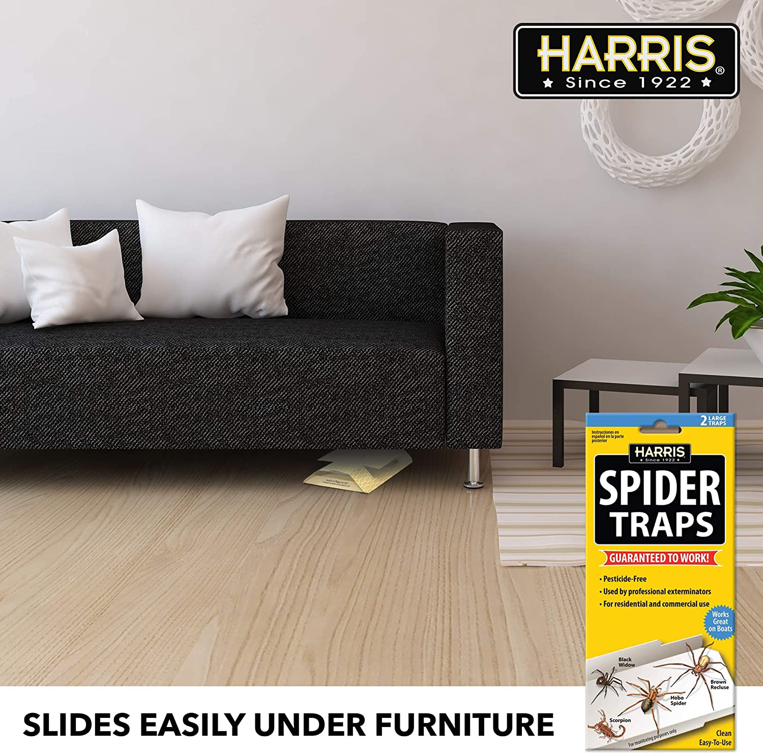 HARRIS Spider Glue Traps, Pesticide Free (2-Pack), Kills Brown Recluse, Hobo Spider, Black Widow and More