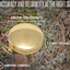 Sharp Survival Best Camping Survival Compass | Glow in the Dark Military Compass Survival Gear Compass