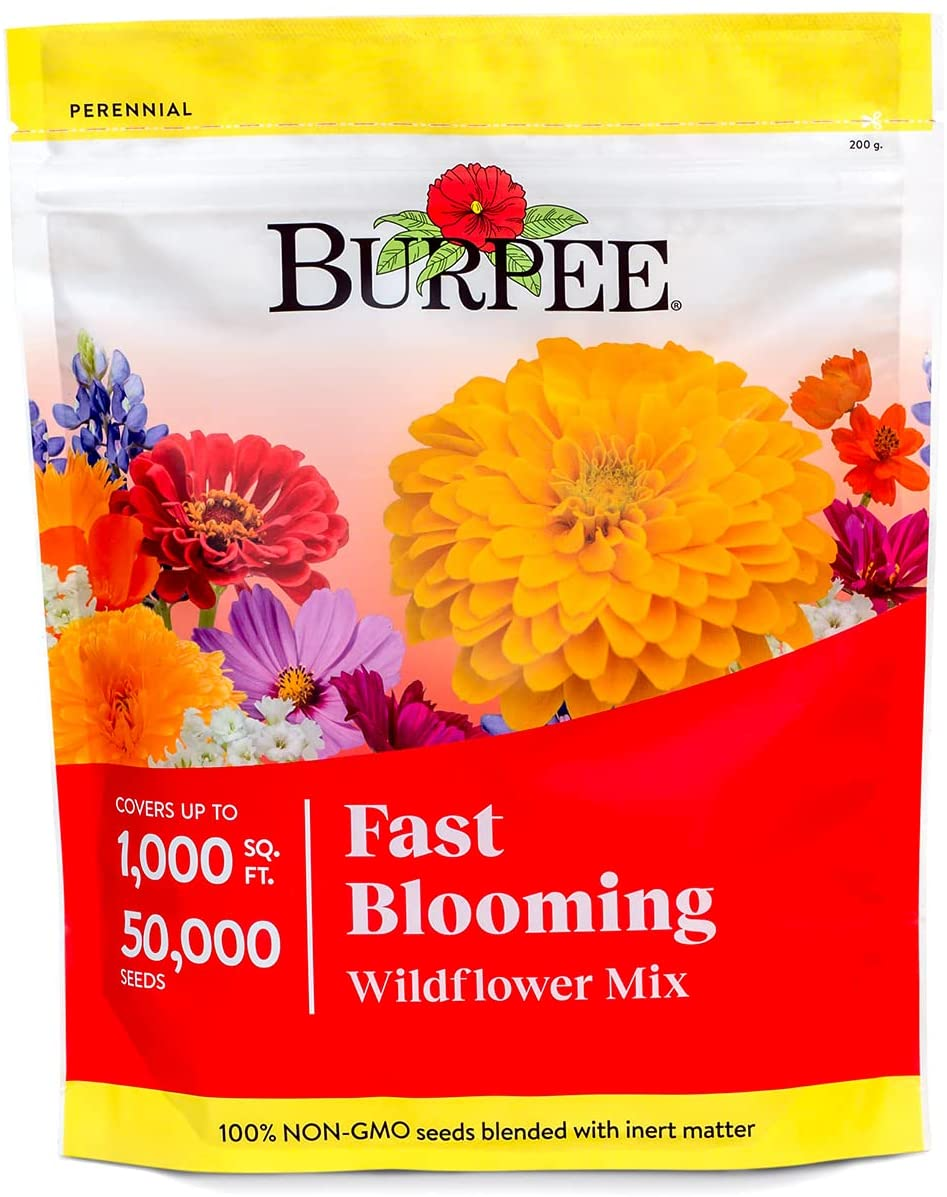 Burpee Fast Blooming 50,000 Non-Gmo Planting, 1 Bag | Easy Grow Wildflower Seed Mix Contains 14 Flower Varieties for Home Garden