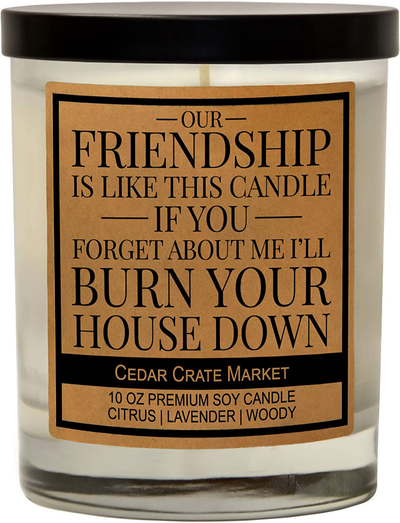 Our Friendship is Like This Candle, Best Friends Gift, Friendship Candle Gifts for Women, Funny Candles, Birthday Gifts for Friends Female, Funny Bestie Gifts for BFF, Coworker, Lavender Scented
