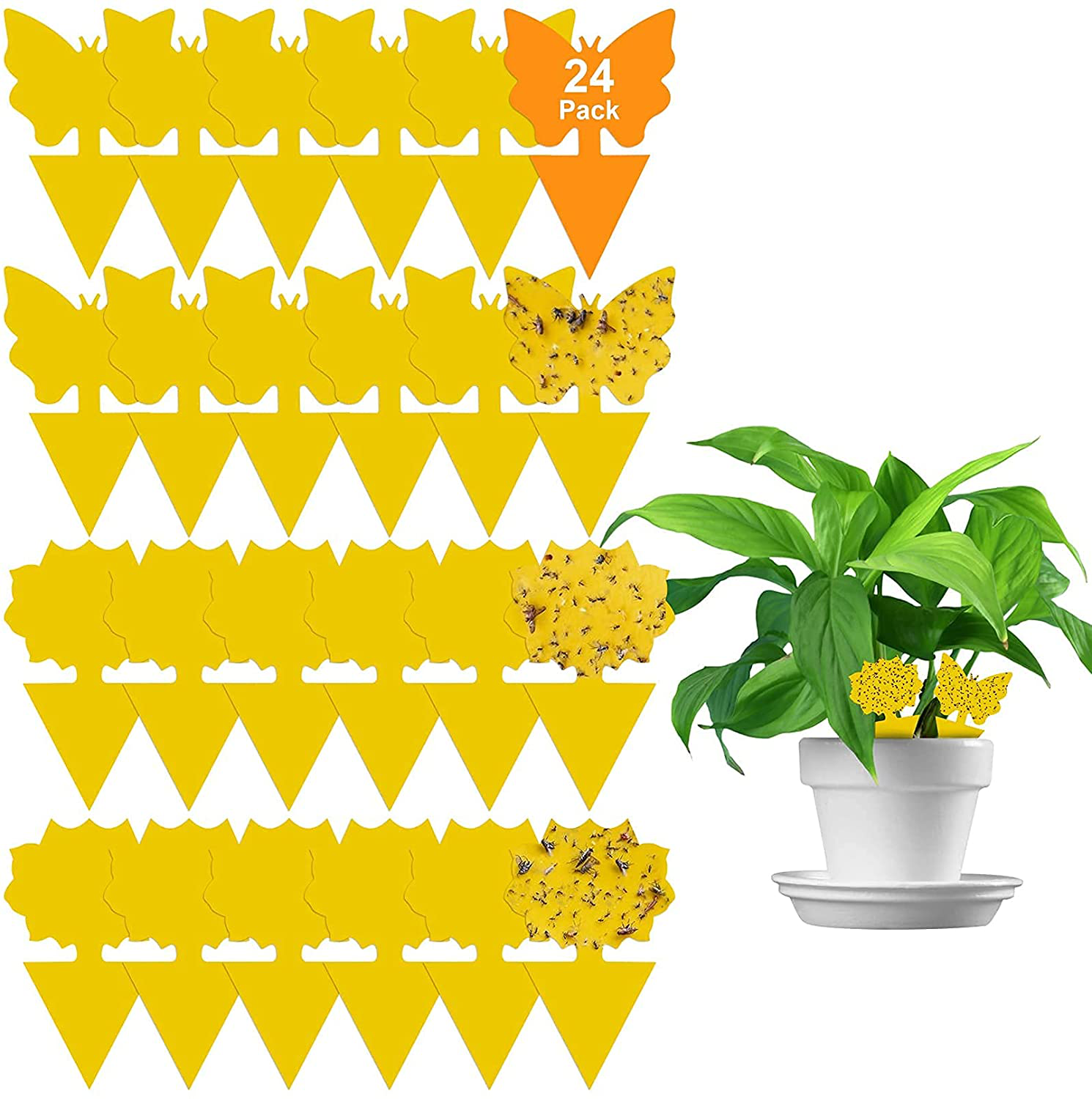 36 Pack Yellow Sticky Traps and Fungus Gnat Traps Killer for Indoor Outdoor, Fruit Fly Traps Protect The Plants