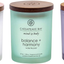 Chesapeake Bay Candle PT31909 Scented Candle, Reflection + Clarity (Sea Salt Sage), Large