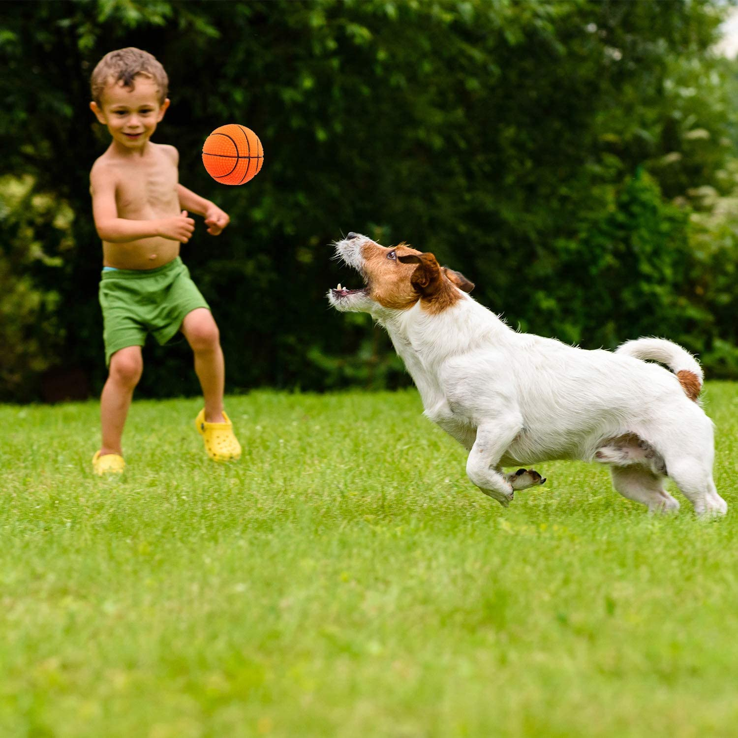 6 Pieces Pet Toy Balls Squeaky Light Balls Non-Toxic Chewing Bounce Toys Balls for Puppy Small Medium Dogs Pet