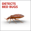Raid Bed Bug Detector & Trap, 8 Ct
