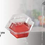 BEAPCO 10036 Prefilled Fruit Fly Traps, 6-Pack, Red