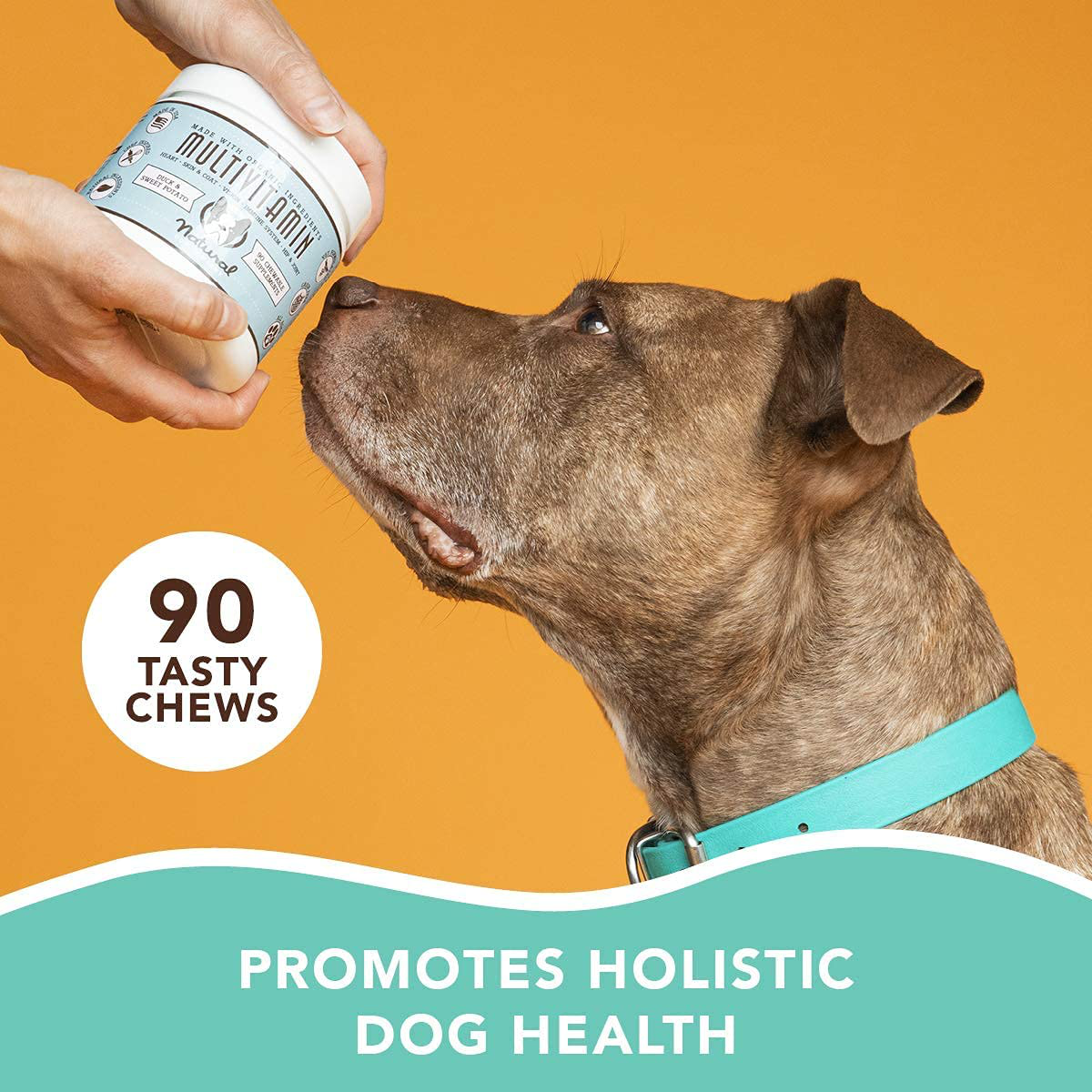 Natural Dog Company - Turmeric and Fish Oil, 35 Essential Vitamins & Nutrients, Immune System, Skin & Coat, and Hip & Joint Support