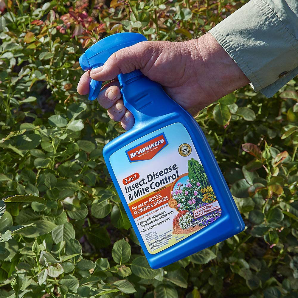 BIOADVANCED 701287A 3-in-1 Insect, Disease, and Mite Control for Plants, 32-Ounce, Ready-to-Spray