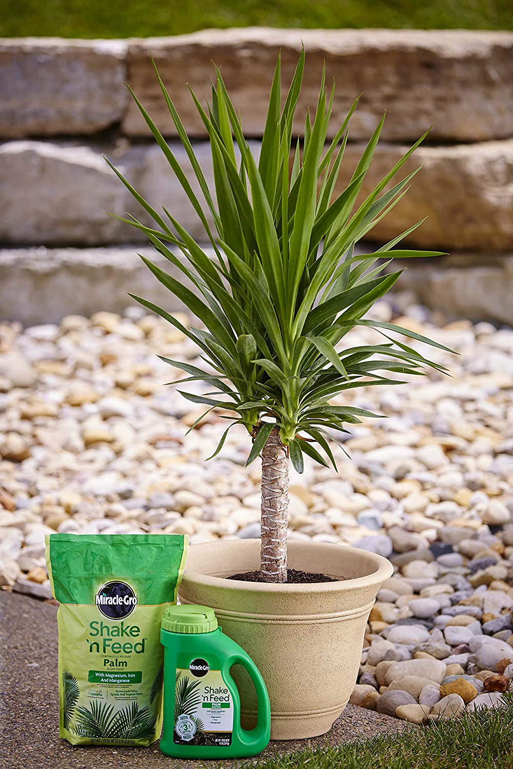 Miracle-Gro Shake 'N Palm Plant Food Feeds up to 3 Months