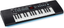 Alesis Melody 32 – Electric Keyboard Digital Piano with 32 Keys, Speakers, 300 Sounds, 300 Rhythms, 40 Songs, USB-MIDI Connectivity and Piano Lessons