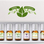 Fragrance Oils Set of 6 Scented Oils from Good Essential - Gardenia Oil, Lilac Oil, Honeysuckle Oil, Jasmine Oil, Magnolia Oil, Spa Oil: Aromatherapy, Perfume, Soaps, Candles, Slime, Lotions!