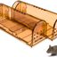 Captsure Original Humane Mouse Traps, Easy to Set, Kids/Pets Safe, Reusable for Indoor/Outdoor Use, for Small Rodent/Voles/Hamsters/Moles Catcher That Works. 2 Pack (Small)