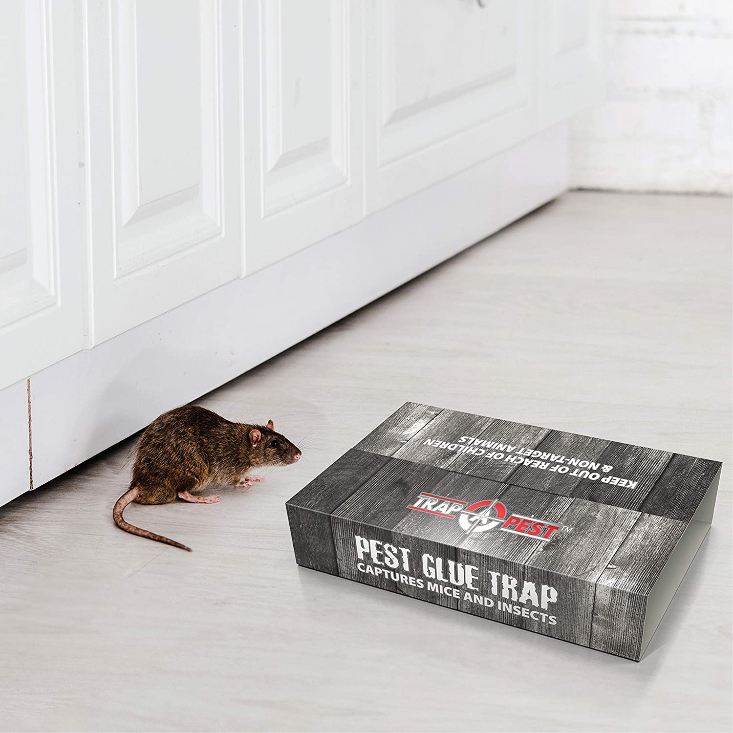 Sticky Glue Trap for Mice- Mouse Glue Traps That Work Indoors for Spiders, Insects, Scorpions, Roaches- Double Layer Glue Boards Upgraded Version- (12 Pack)