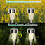 24 Pack Stainless Steel LED Solar Light