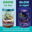 Creativity for Kids Grow N’ Glow Terrarium – Child Craft Activity for Boys and Girls