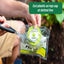 RESCUE! Outdoor Disposable Hanging Fly Trap, 6 Count