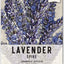 Spike Lavender Seeds for Planting (Lavandula latifolia) Single Package of 500 Seeds - Fragrant Heirloom Attracts Butterflies & Pollinators