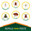 Repel 100 Insect Repellent, Pump Spray, 4-Fluid Ounces, 10-Hour Protection