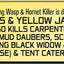 Black Flag Foaming Wasp & Hornet Killer, Kills Wasps and Hornets Nests By Contact, 14 Ounce (Aerosol Spray)