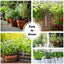 Culinary Herb Seeds Variety Pack