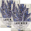 Spike Lavender Seeds for Planting (Lavandula latifolia) Single Package of 500 Seeds - Fragrant Heirloom Attracts Butterflies & Pollinators