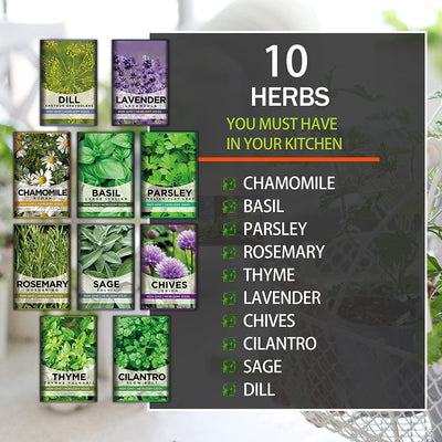 10 Herb Kit Non-GMO 