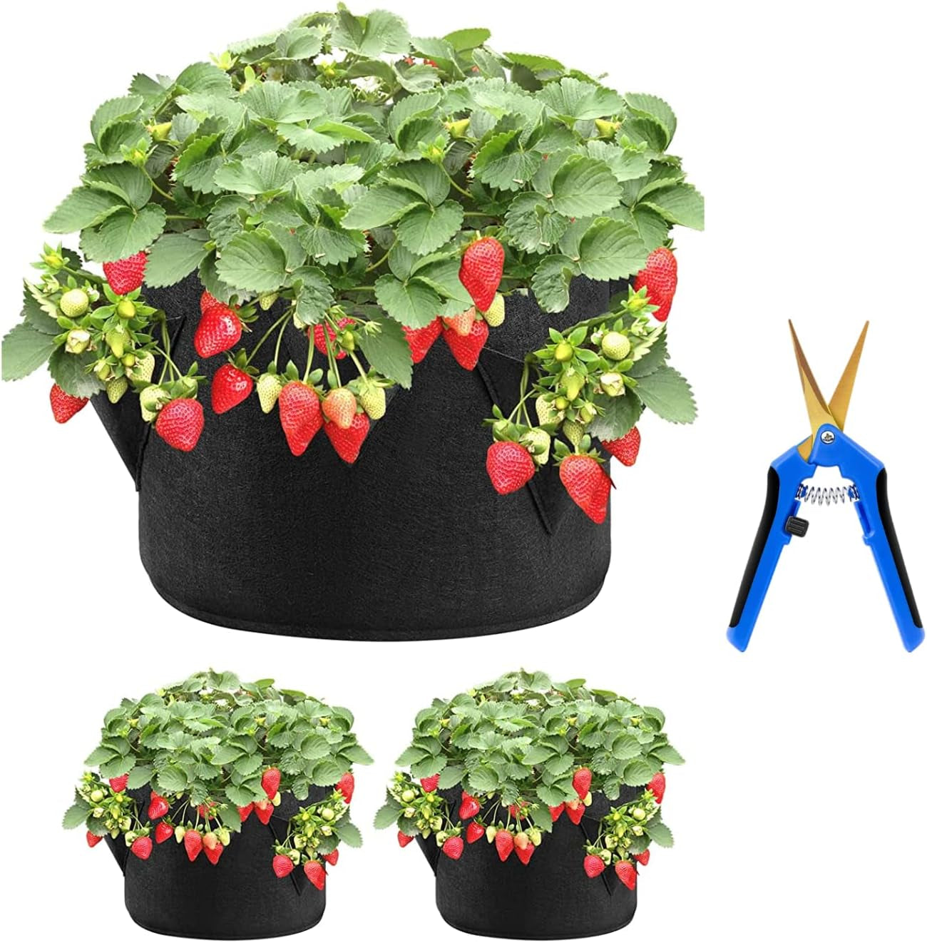 Strawberry Grow Bags 3 Gallon 2-Pack