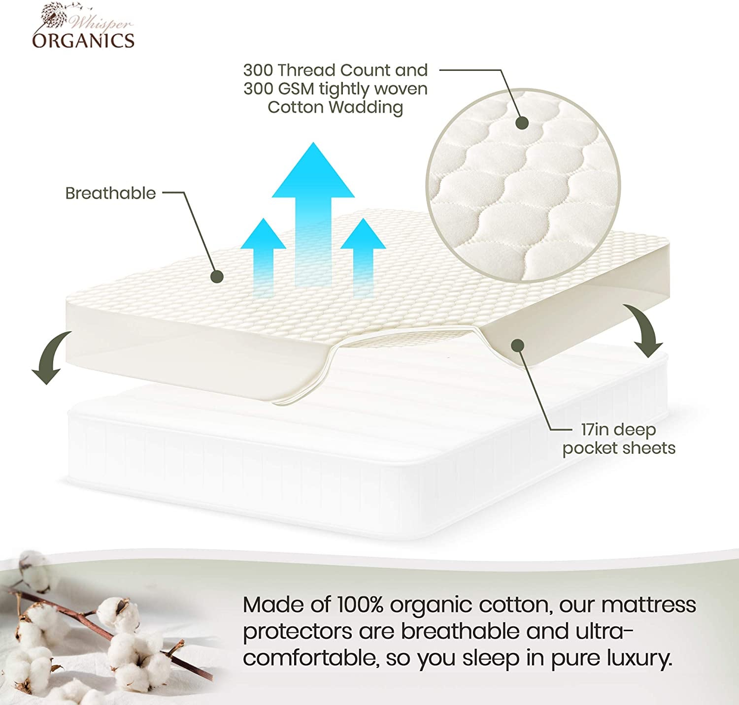Whisper Organics, 100% Organic Cotton Mattress Protector - Quilted Fitted Mattress Pad Cover, GOTS Certified Breathable Mattress Protector - Ivory Color, 17" Deep Pocket (Queen Size Bed)