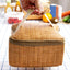 Outdoor Insulated Waterproof Rattan Food Container Basket
