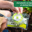 RESCUE! Outdoor Disposable Fly Trap, Green, 2 Pack