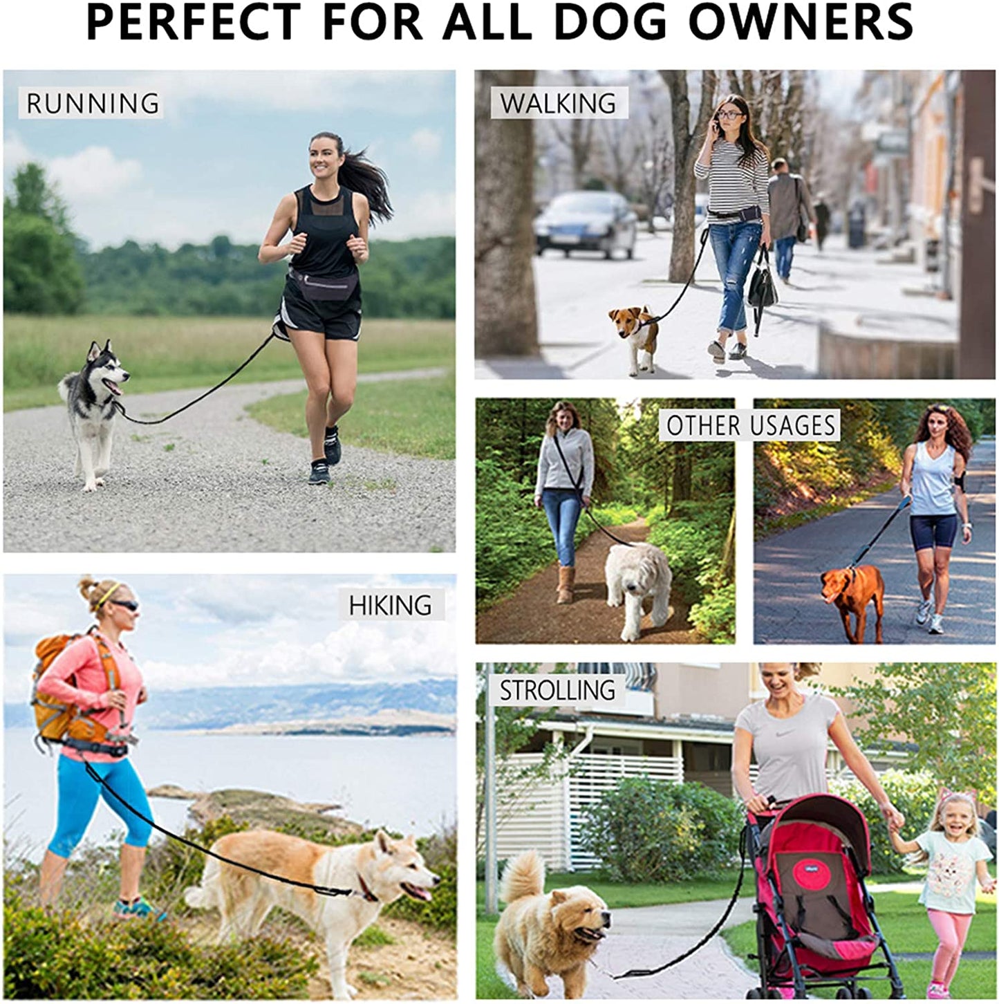 Hands Free Dog Leash for Running Walking Jogging Training Hiking