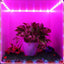 Plant Grow LED Strip Light, 6.56Ft/2M 5050 SMD 120 Leds 5V 10W Flexible Waterproof LED Grow Strips 