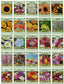 25 Slightly Assorted Flower Seed Packets - Includes 10+ Varieties - May Include: Forget Me Nots, Pinks, Marigolds, Zinnia, Wildflower, Poppy, Snapdragon and More - Made in the USA