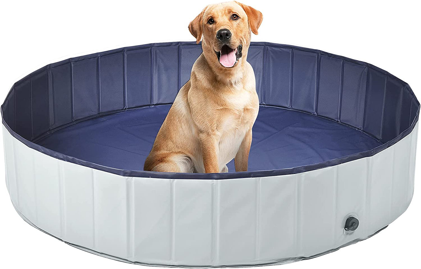 Portable Hard Plastic Pet Bath Pool for Dogs, Collapsible Dog Swimming Pool,31.5 x 8 inches