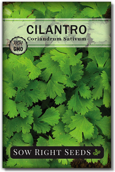  5 Herb Seed Collection - Genovese Basil, Chives, Cilantro, Italian Parsley, and Oregano Seeds