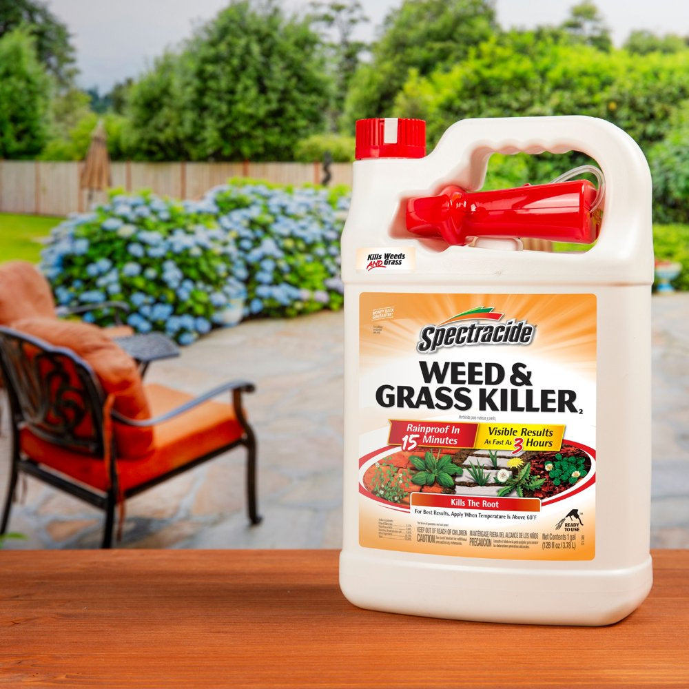 Spectracide Weed & Grass Killer, Ready-To-Use, 1-Gallon