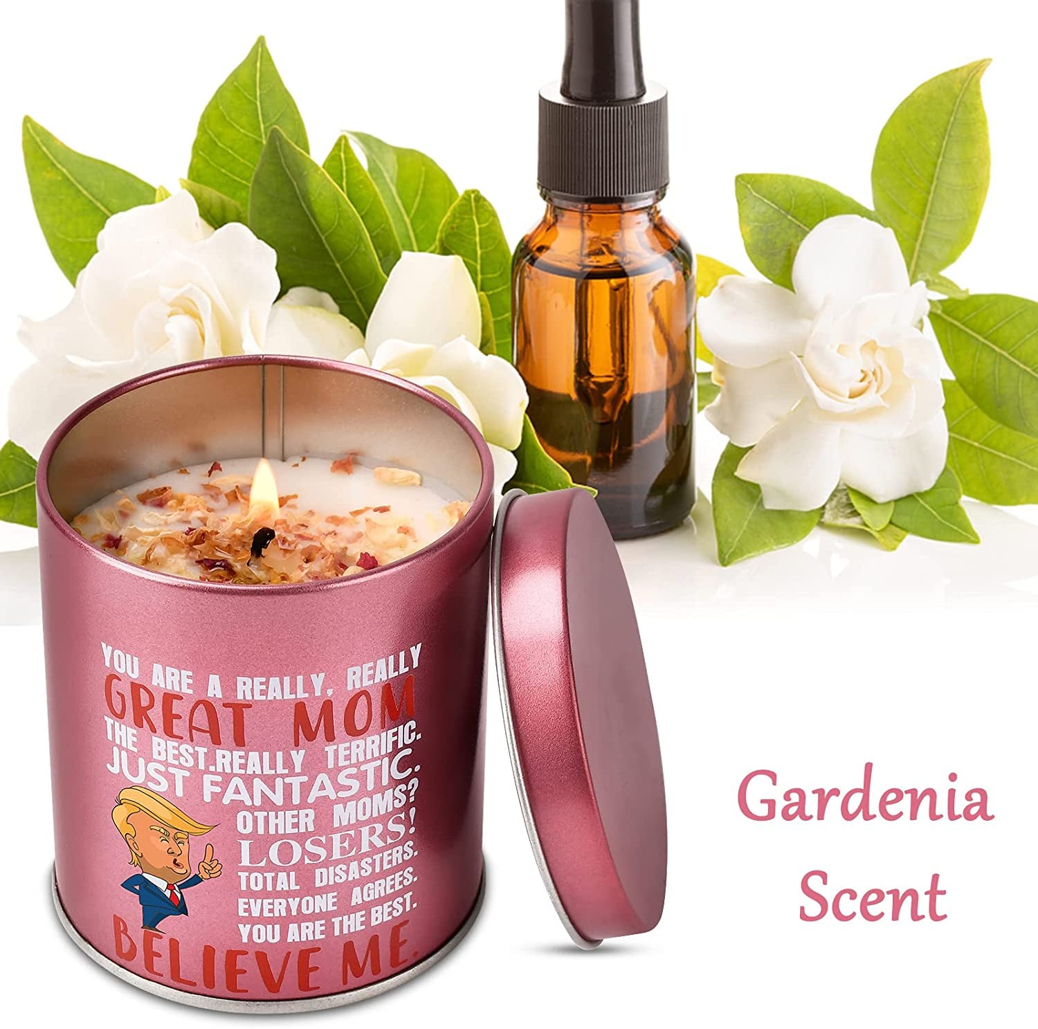 Mothers Day Gifts,You are A Really Great Mom Gardenia 9oz