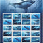 USPS Sharks One Sheet Forever Stamps - Booklet of 20 First Class Forever Stamps