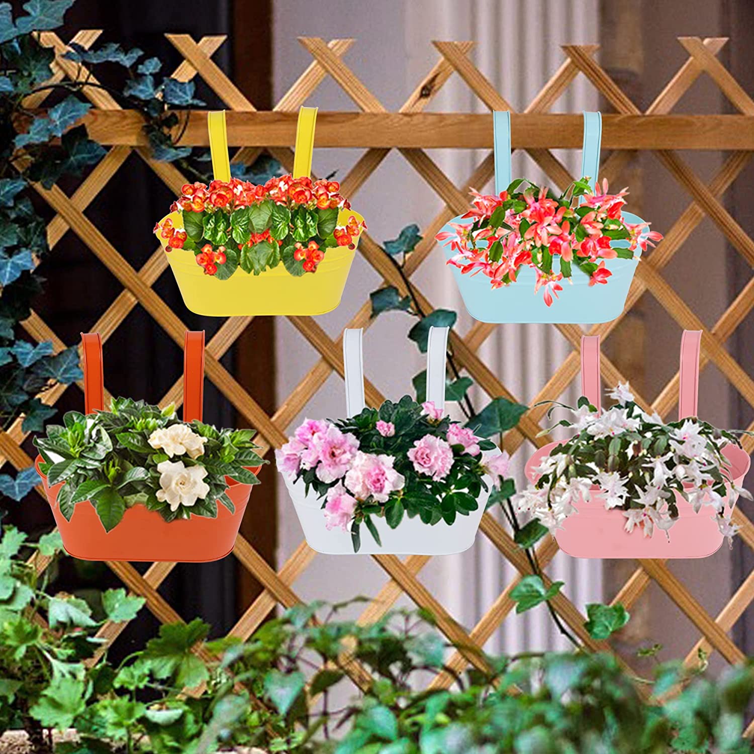 Glory Island 5 Pcs Hanging Flower Pot, Metal Iron Bucket Planter Box with Detachable Hooks, Outdoor Flowers Holder for Railing Fence Balcony Garden Yard