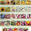 25 Slightly Assorted Flower Seed Packets - Includes 10+ Varieties - May Include: Forget Me Nots, Pinks, Marigolds, Zinnia, Wildflower, Poppy, Snapdragon and More - Made in the USA